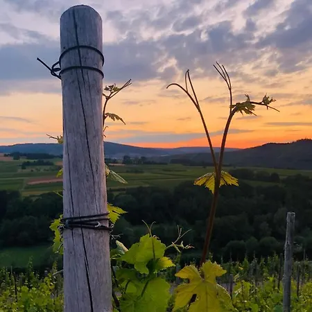 Sonnenlay Lounge - & Appartement *