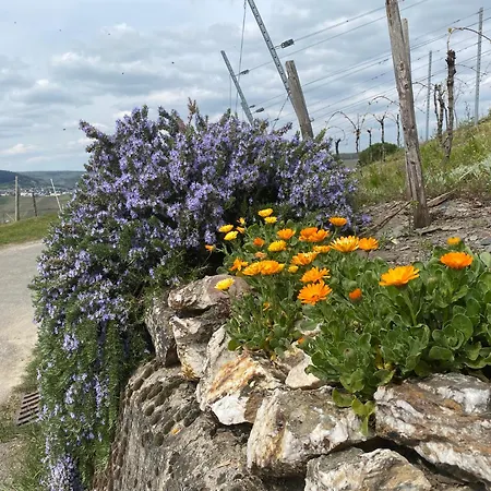 Sonnenlay Lounge - & Apartment Brauneberg