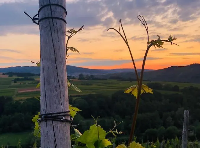 Sonnenlay Lounge - & Apartment *