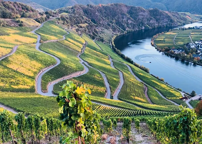 Sonnenlay Lounge - & Apartment Brauneberg