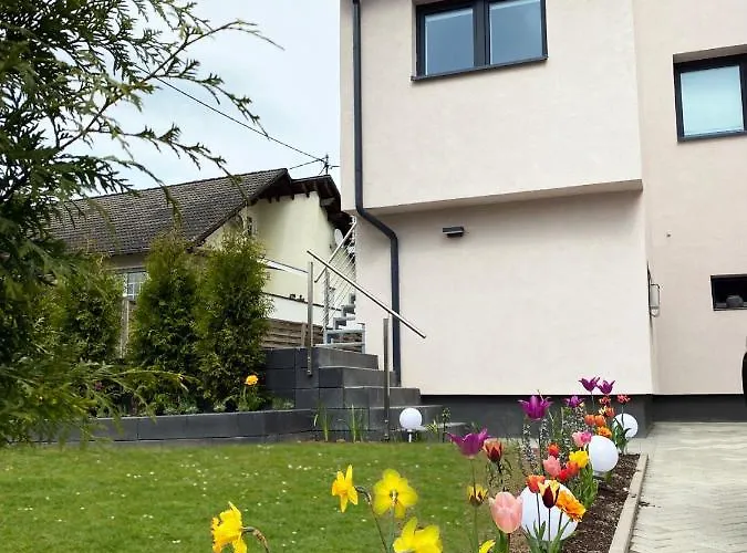 Apartment Sonnenlay Lounge - &