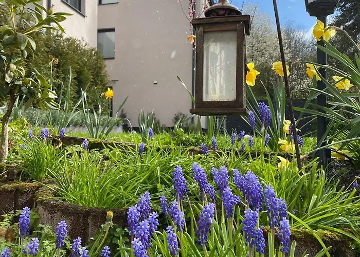 Sonnenlay Lounge - &