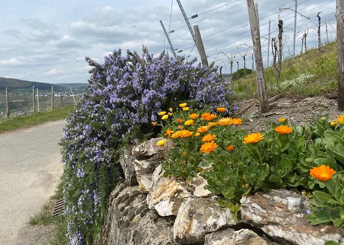 Sonnenlay Lounge - & Apartment Brauneberg